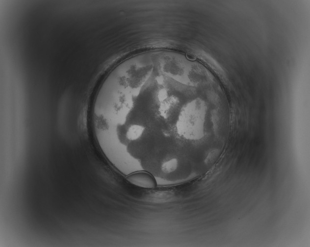 X0000100470155200806271149