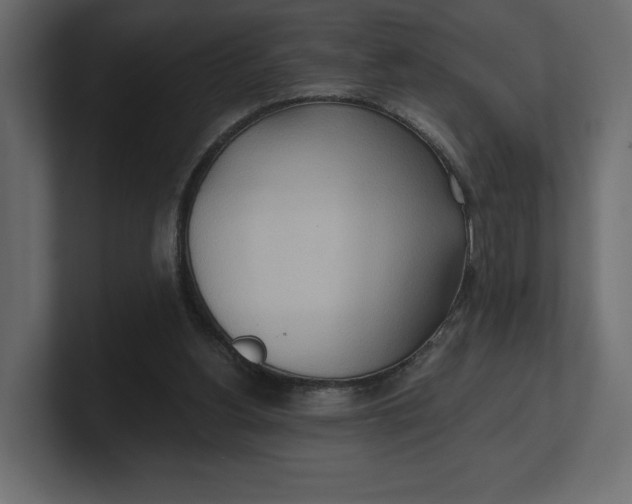 X0000100470156200806271149