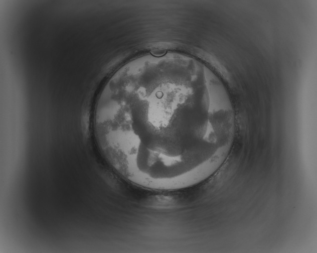 X0000100470159200806271149