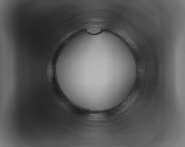 X0000100470160200806271149