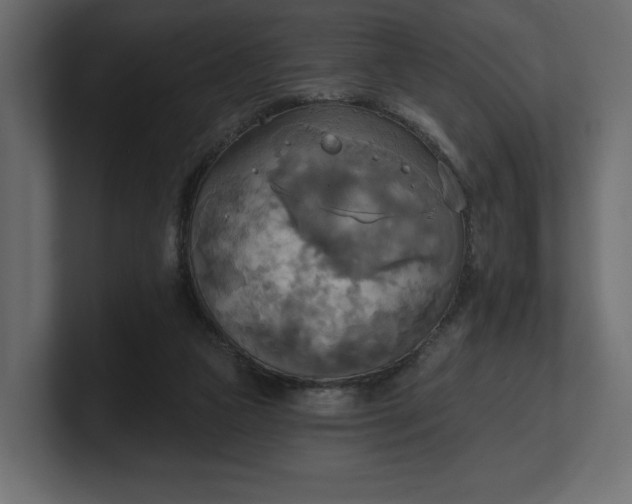 X0000100470161200806271149