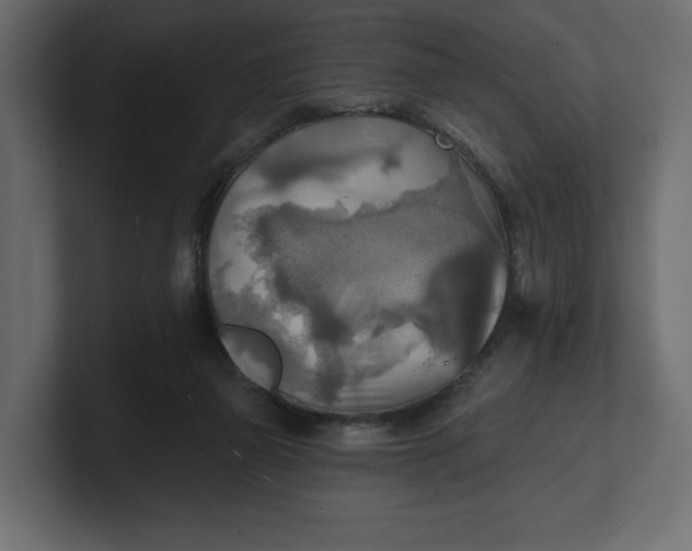 X0000100470165200806271149