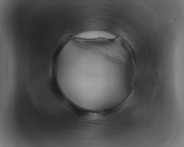 X0000100470167200806271149