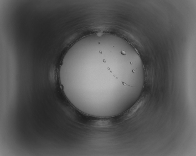 X0000100470168200806271149