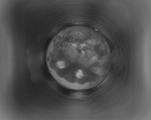 X0000100470171200806271149