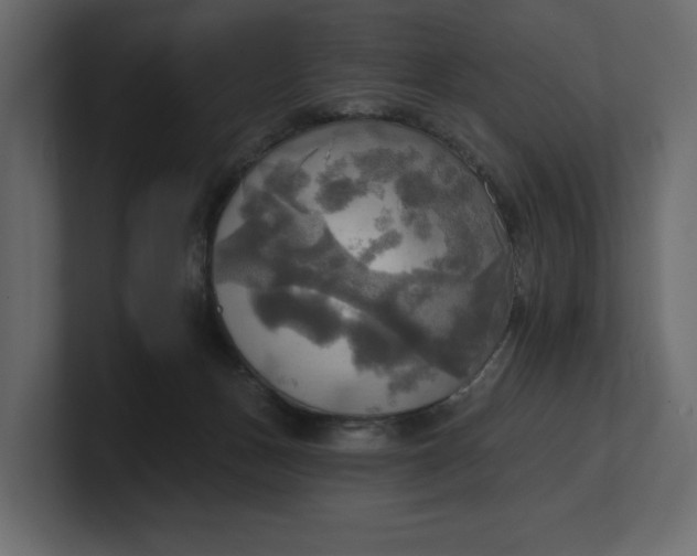 X0000100470175200806271149