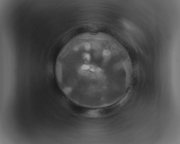 X0000100470178200806271149