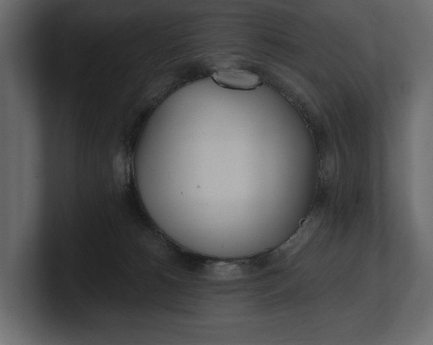 X0000100470180200806271149