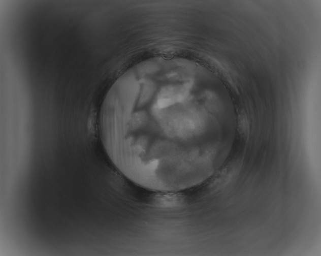 X0000100470181200806271149