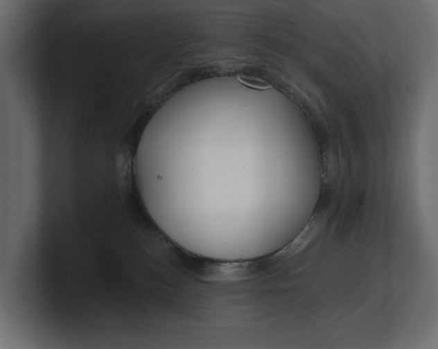 X0000100470184200806271149