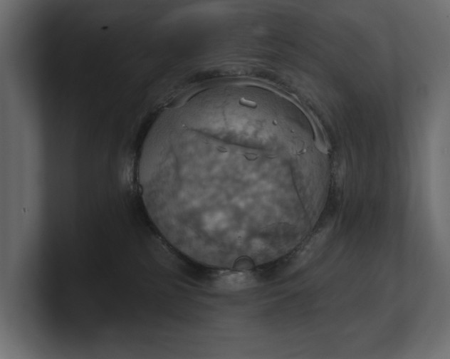 X0000100470185200806271149