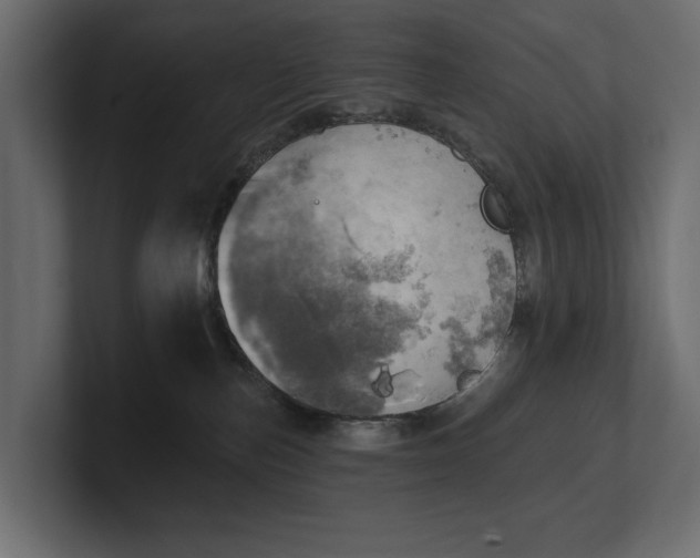 X0000100470187200806271149