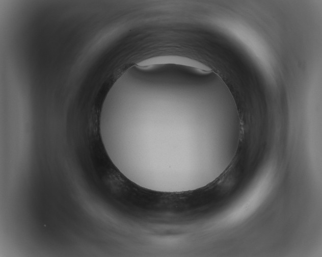 X0000100470190200806271149