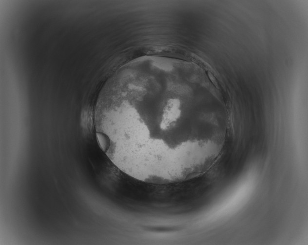 X0000100470191200806271149