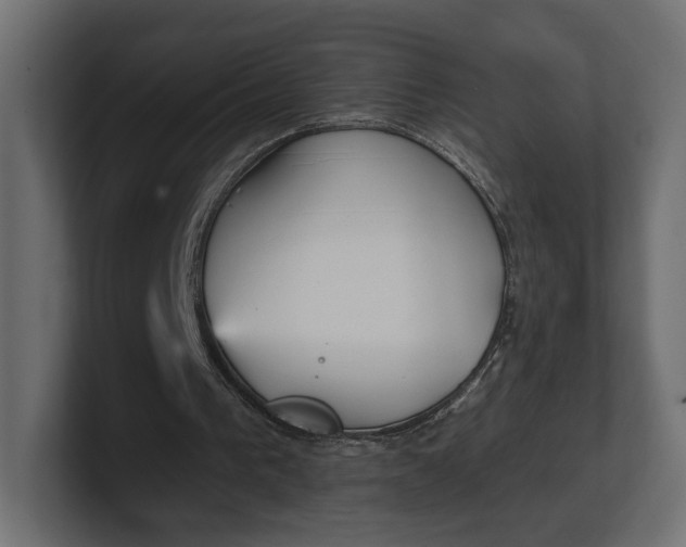 X0000100470193200806271148