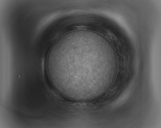 X0000100470194200806271148