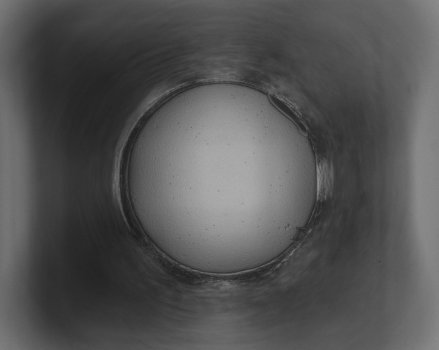 X0000100470195200806271148