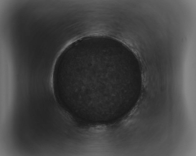 X0000100470196200806271148