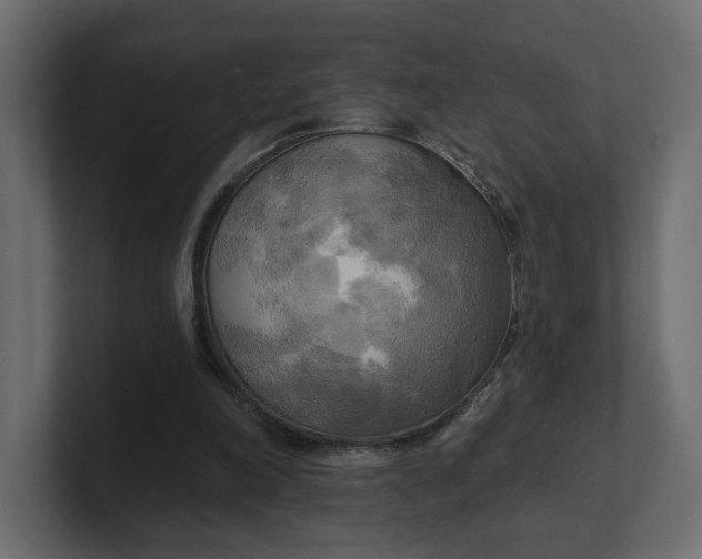 X0000100470198200806271148