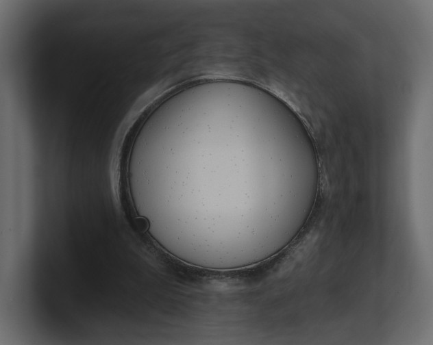 X0000100470199200806271148