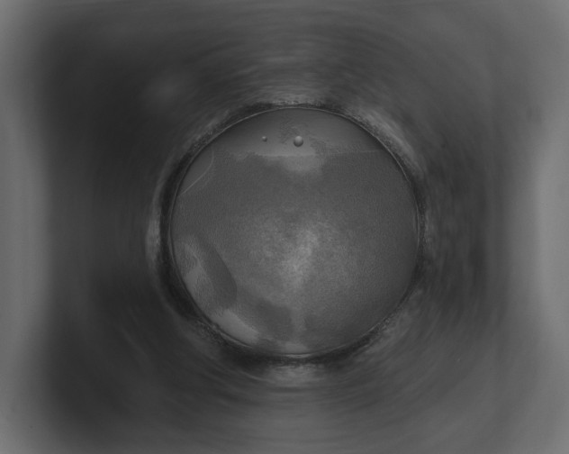 X0000100470202200806271148