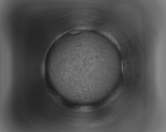 X0000100470204200806271148