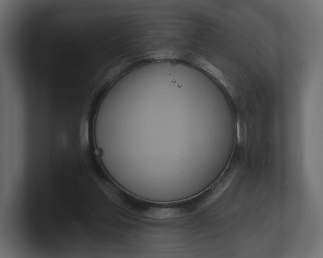 X0000100470205200806271148