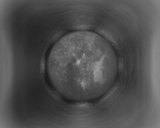 X0000100470206200806271148