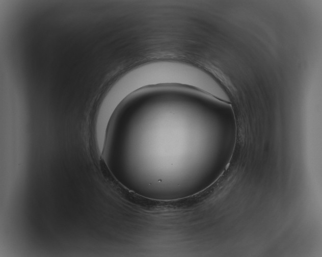 X0000100470207200806271148