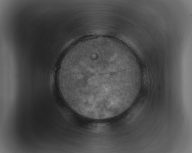 X0000100470208200806271148