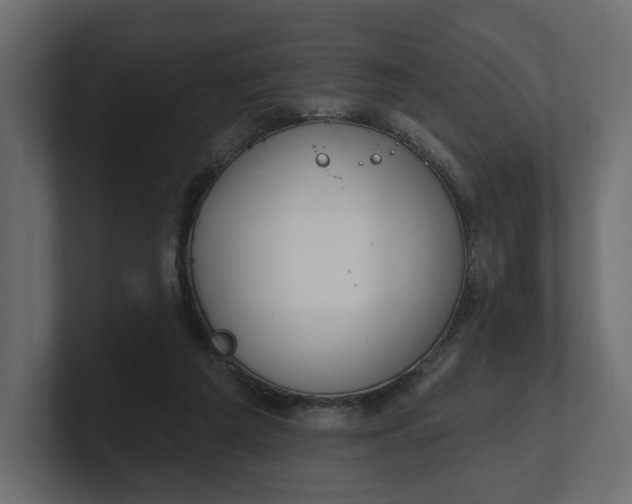 X0000100470209200806271148