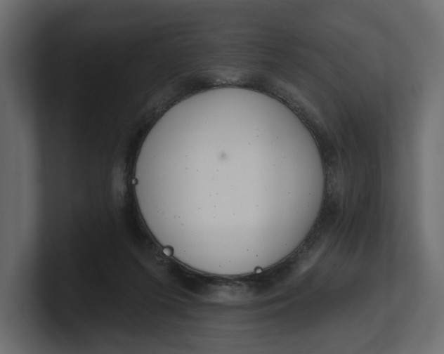 X0000100470215200806271148