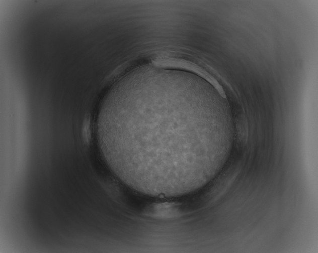 X0000100470216200806271148