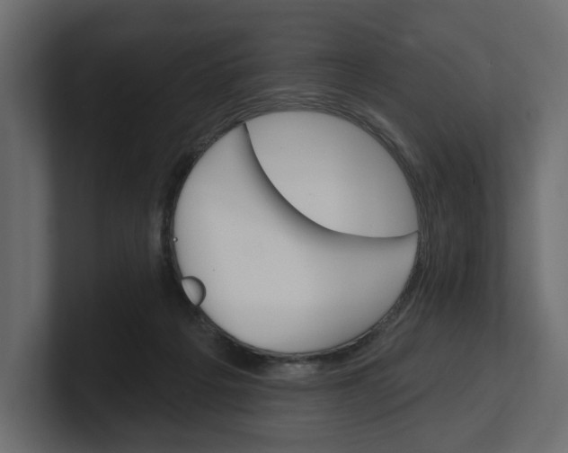 X0000100470217200806271148