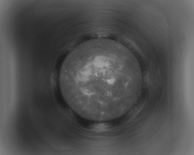 X0000100470218200806271148