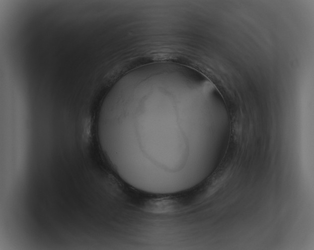 X0000100470219200806271148