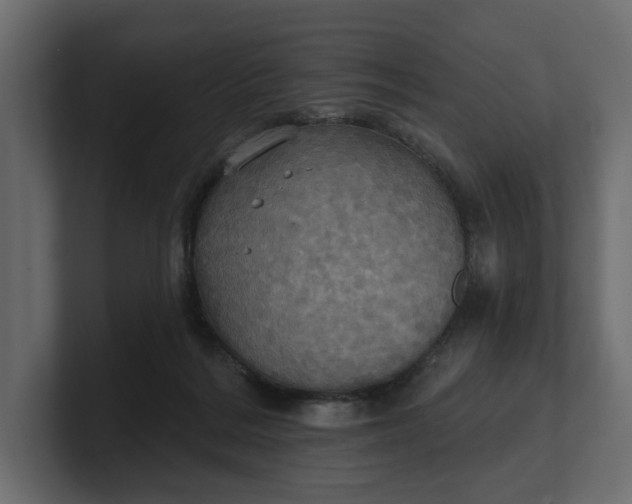 X0000100470220200806271148