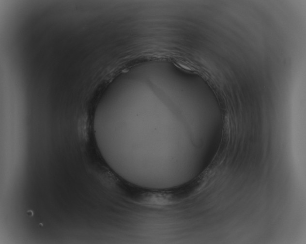 X0000100470223200806271148