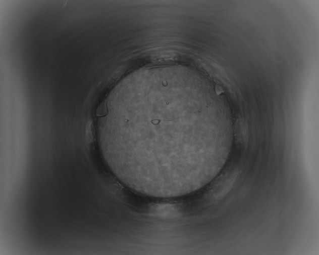 X0000100470224200806271148