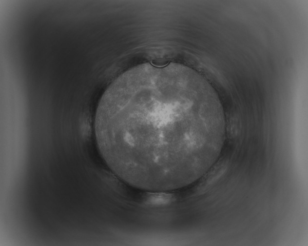 X0000100470226200806271148