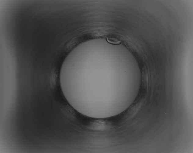 X0000100470227200806271148