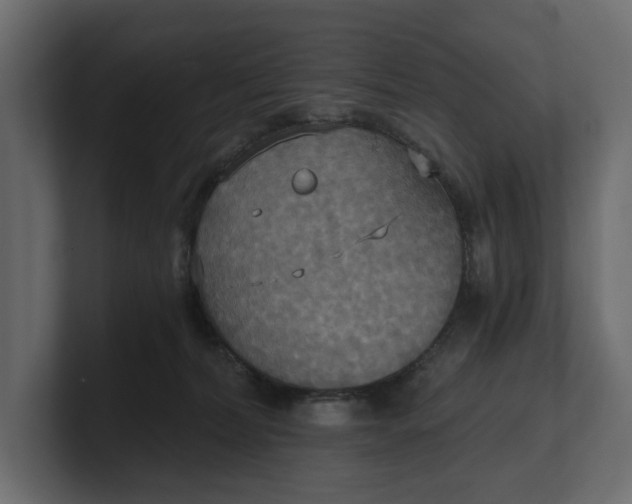 X0000100470228200806271148