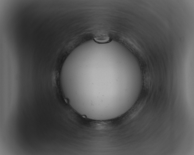 X0000100470229200806271148