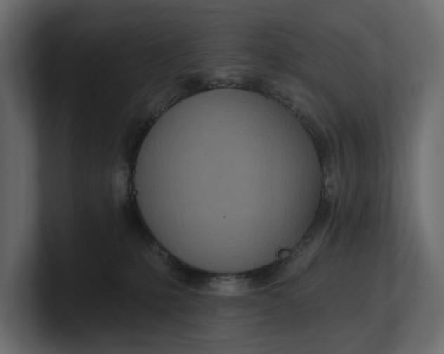 X0000100470231200806271148