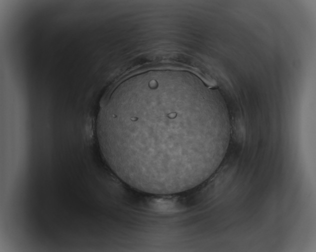 X0000100470232200806271148