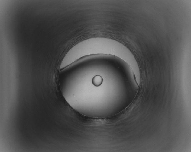 X0000100470233200806271148