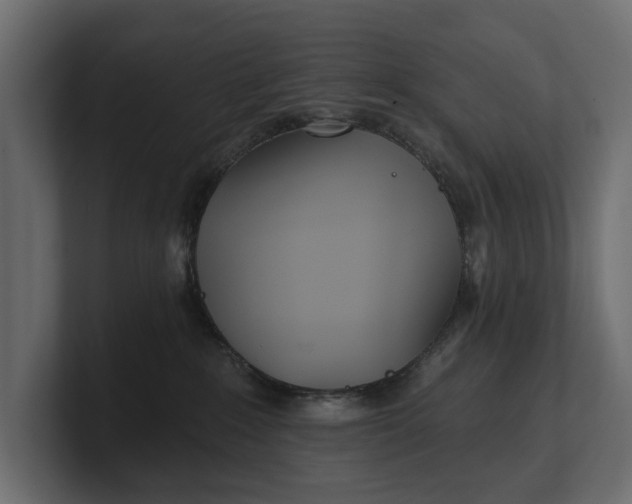 X0000100470235200806271148