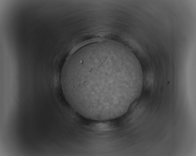 X0000100470236200806271148