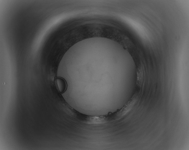 X0000100470239200806271148