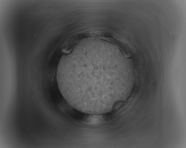 X0000100470240200806271148